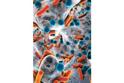 Why it’s critical to detect bioburden on surgical instruments