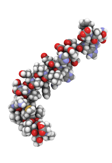 Amyloid Protein Transmission