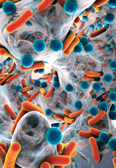 Breaking News on COVID-19 Vaccines